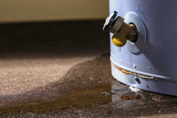 Best Basement water damage restoration  in Fairchance, PA