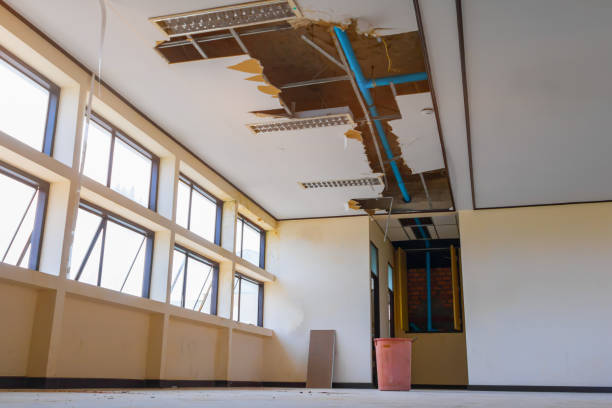 Best Ceiling water damage repair  in Fairchance, PA