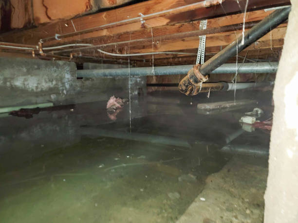 Best Water damage restoration services  in Fairchance, PA