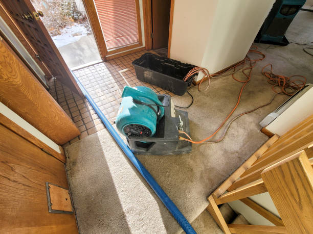 Best Residential water damage restoration  in Fairchance, PA