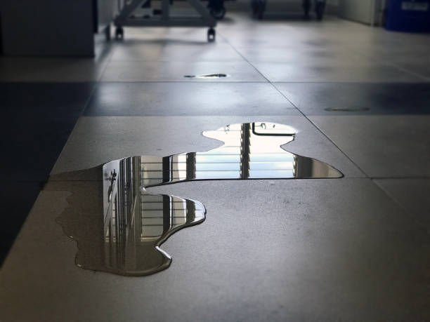 Best 24/7 water damage repair  in Fairchance, PA