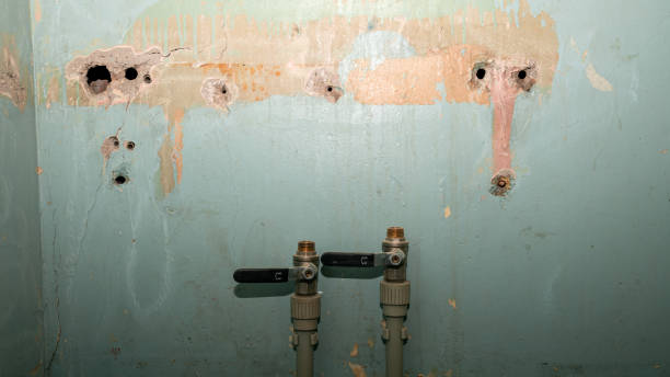 Best Water damage contractors near me  in Fairchance, PA