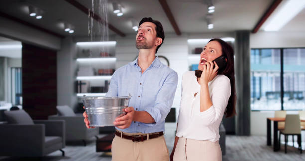 Best Flooded house restoration  in Fairchance, PA